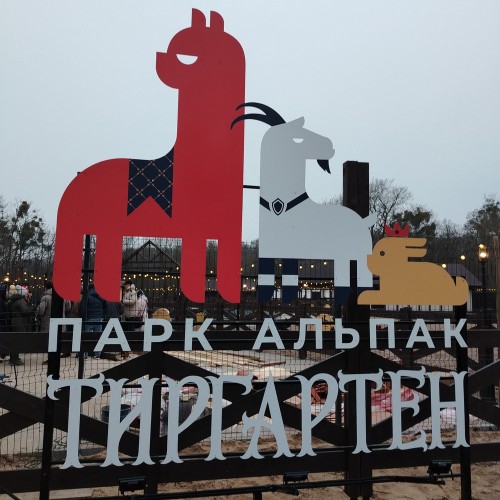 Сыр, замки и альпаки: трансфер из Калининграда