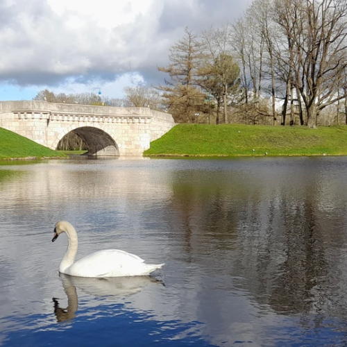 Все парки и замки Гатчины за один день