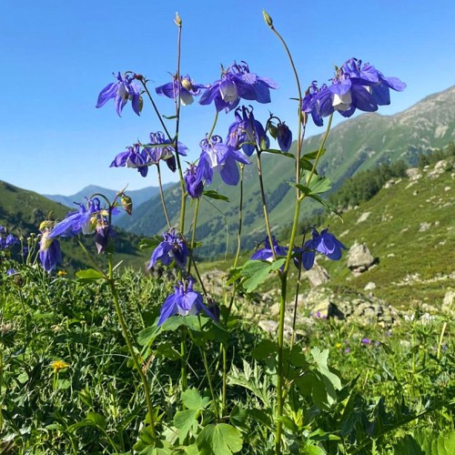 Больше треккинга и озёр в Архызе: без рюкзаков и с проживанием в гостинице