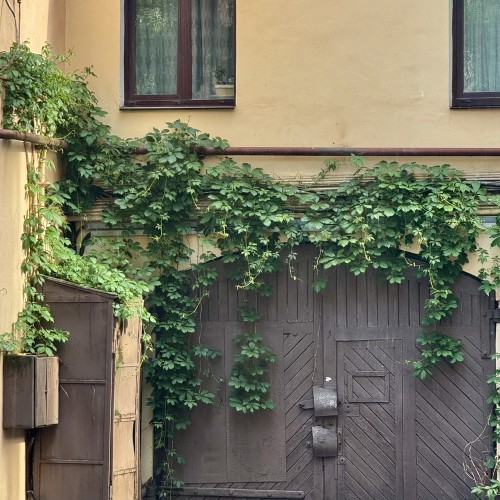 Анна Ахматова: жизнь и судьба (16+)