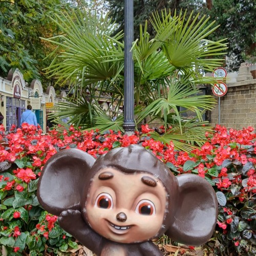 Индивидуальный трип по городам КМВ и ночная экскурсия в обсерваторию