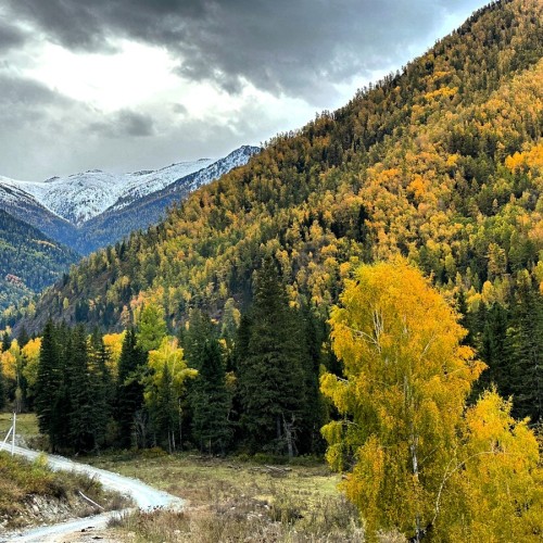 Шёлковый путь Алтая — из Горно-Алтайска