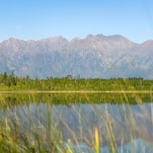 Дюны среди тайги: поход к Чарским пескам с ночёвками в палатках на природе