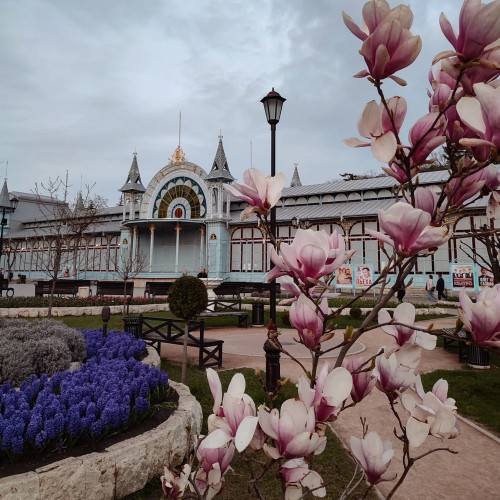 Индивидуальный отпуск в Кисловодске с экскурсиями по курортам КМВ, КЧР и КБР