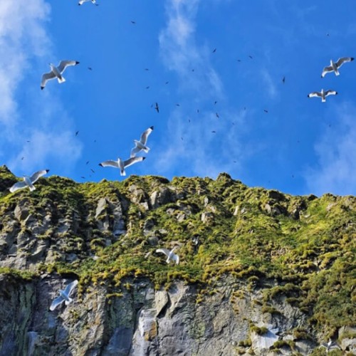 Большое путешествие по островам: Сахалин и Итуруп, Кунашир и Шикотан