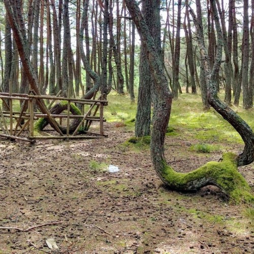 Куршская коса: театрализованная аудиоэкскурсия