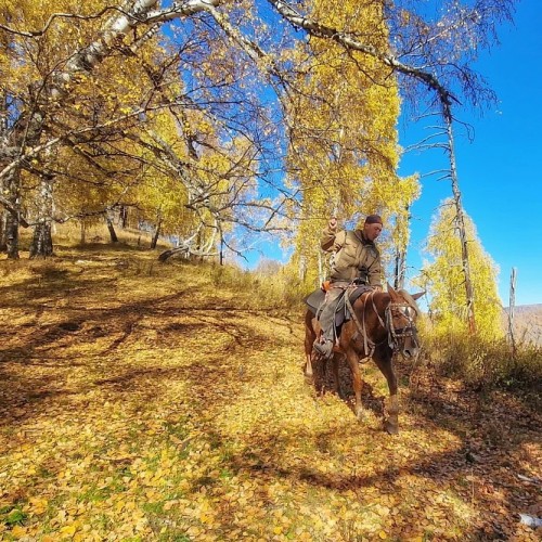 Конный тур для новичков по осеннему Алтаю с проживанием на базе. Всё включено
