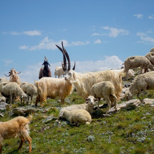 Всё самое-самое в Дагестане: от глубочайшего каньона до древнейшего города