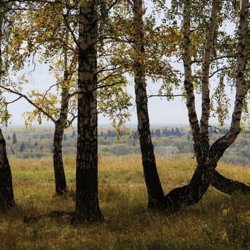 Через всю Россию по Транссибирской магистрали: большое путешествие от Москвы до Владивостока