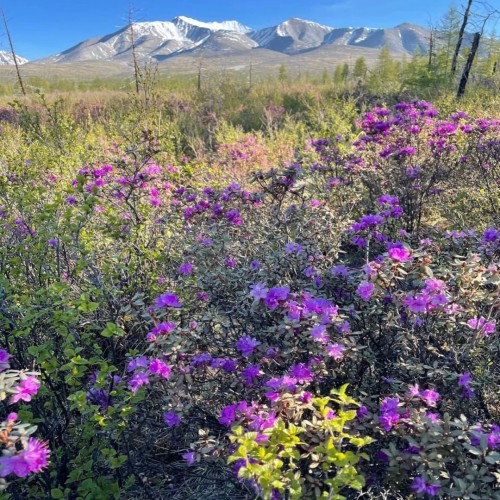 Индивидуальное путешествие из Иркутска в Монголию на выходные