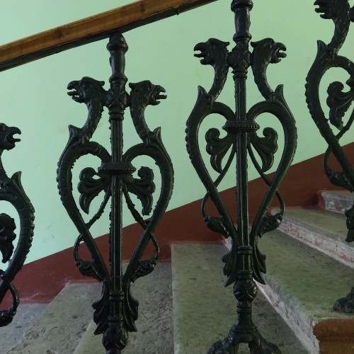 По Васильевскому с островитянином!