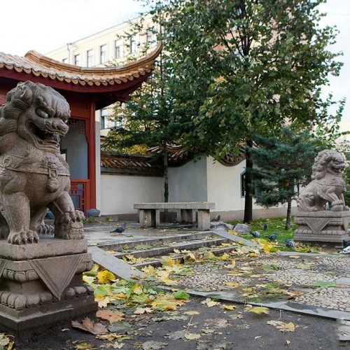 Львы Петербурга: новые приключения итальянцев в России