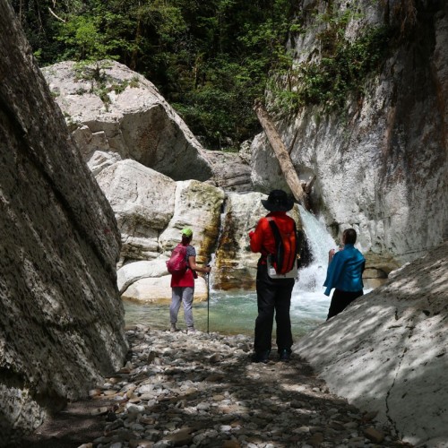 Лёгкий треккинг в субтропиках с проживанием в гостинице в Адлере