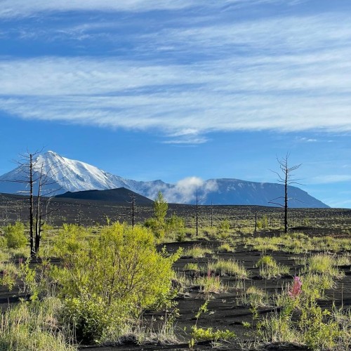 2500 км по Камчатке: вулканы, источники, океан