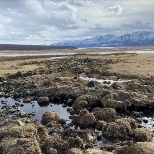 Из Иркутска в Монголию: ночёвки у озера Хубсугул, знакомство с кочевой жизнью и фотосафари