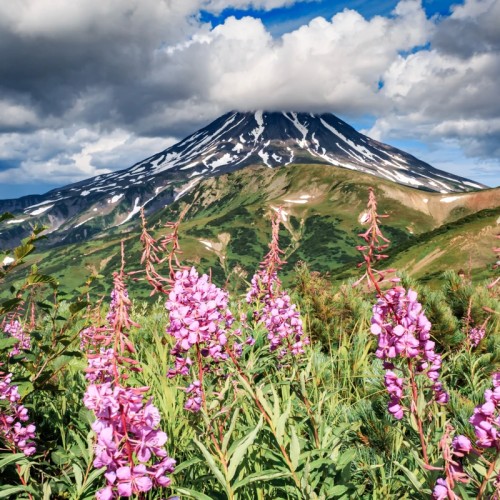 Индивидуально по Камчатке на джипе: столица, топовые локации, вкусы