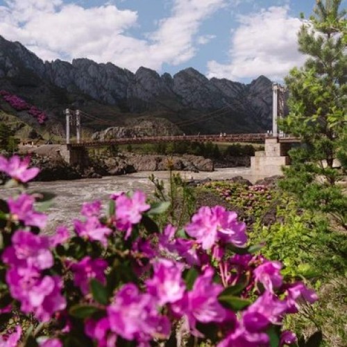 На Алтай из Новосибирска в мини-группе с проживанием в экодоме: топовые места и фермы