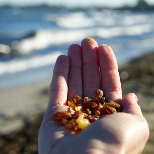 Калининградский микс: индивидуальное экспресс-путешествие