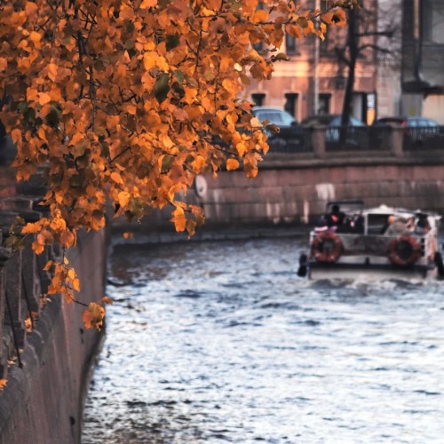 В Питере — плыть!