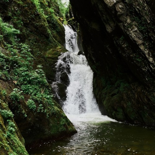 Телецкое озеро — к хранителю алтайских тайн