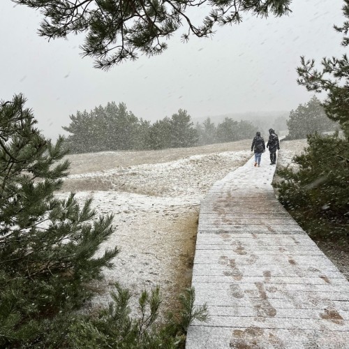 Замки, море и хомлины — лучшие места Калининградской области и дегустация на семейной сыроварне