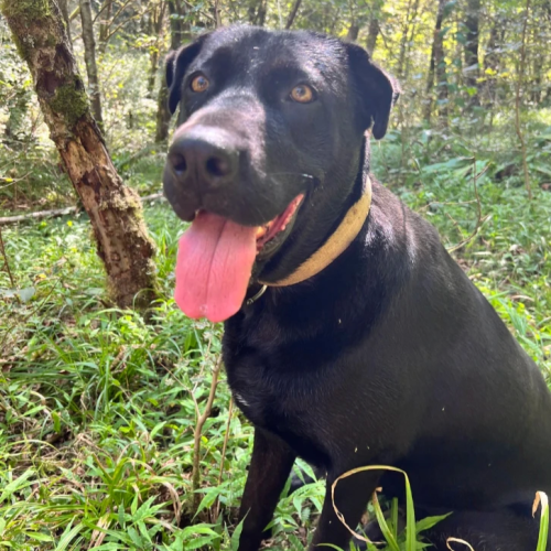 В гости к друиду: выходные в горной долине Шахе (мини-группа)