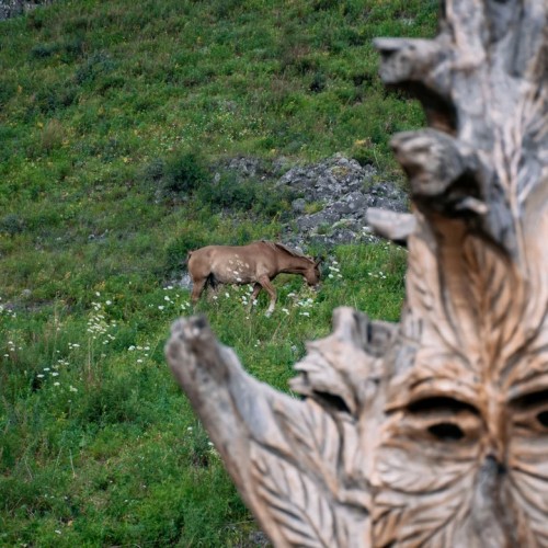 Топовые места Алтая в мини-группе: Гейзерное озеро, Чуйский тракт, долина Горных духов и Патмос