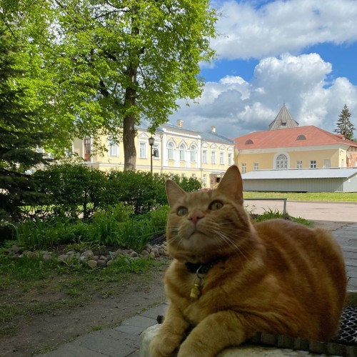 Господин Великий Новгород — из Петербурга на автомобиле