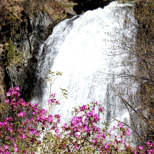 На теплоходе — из Горно-Алтайска на Телецкое озеро