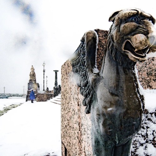 Фантастические твари и где они обитают в Санкт-Петербурге