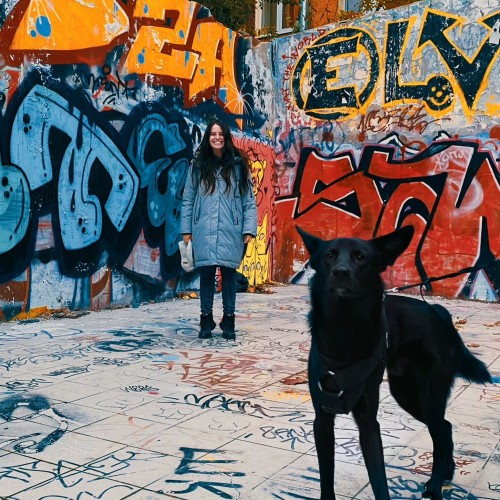 От андеграунда до небесной перспективы: прогулка по городу + безопасная крыша