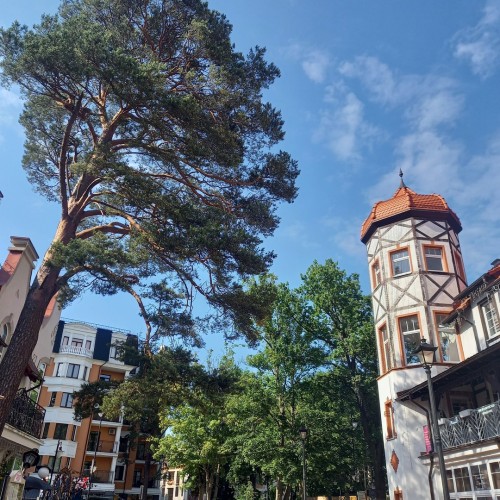 Калининградское наследие Восточной Пруссии: немецкая архитектура Раушена, Кёнигсберга, Пиллау