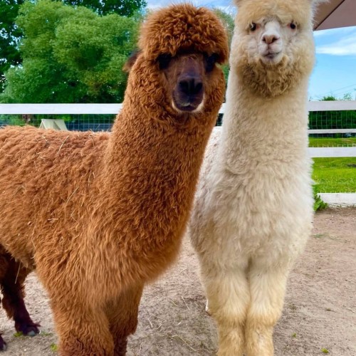 Пешком налегке: исследуем природные красоты Архыза