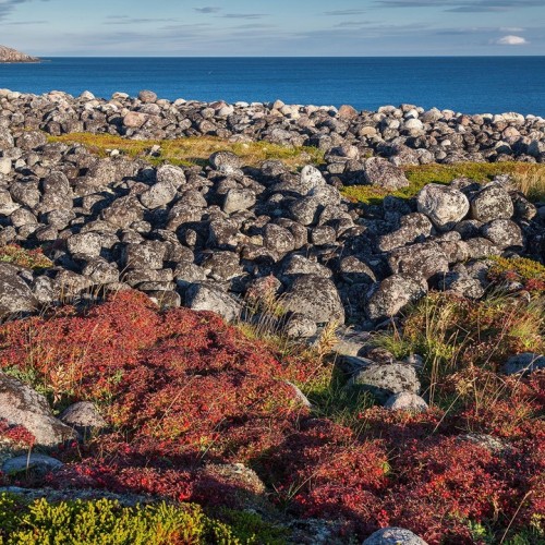 На Кольский полуостров через Карелию: автобусный тур по знаковым локациям (из Санкт-Петербурга)