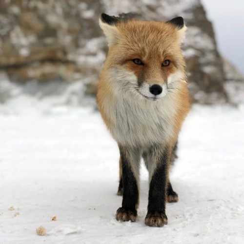 Байкальская классика: места силы, Ольхон и мыс Хобой