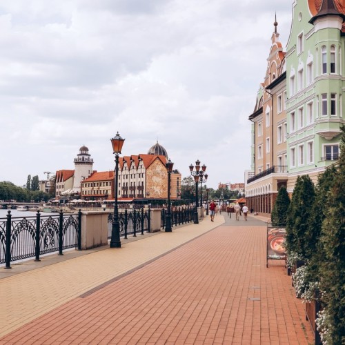 На майские в город кошек: выходные в Зеленоградске с прогулкой по Калининграду и Кушской косе