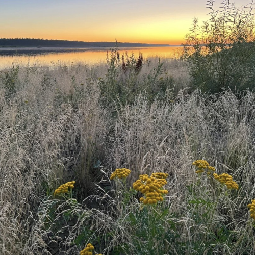 В гости к поморам под белоснежными парусами: приключения вдали от цивилизации