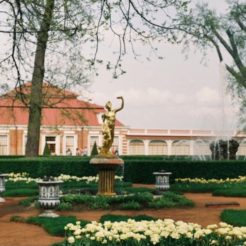 Имперская роскошь парковых фонтанов и дворцов Петергофа