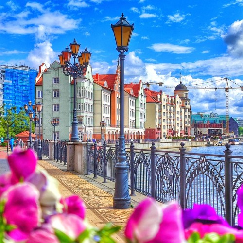 Индивидуальная прогулка выходного дня: Калининград, Зеленоградск, Куршская коса