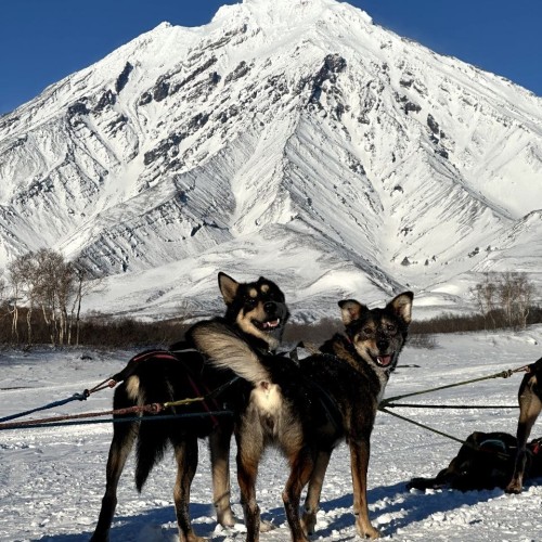 Камчатские удовольствия в мини-группе: природа, погружение в культуру и релакс в источниках