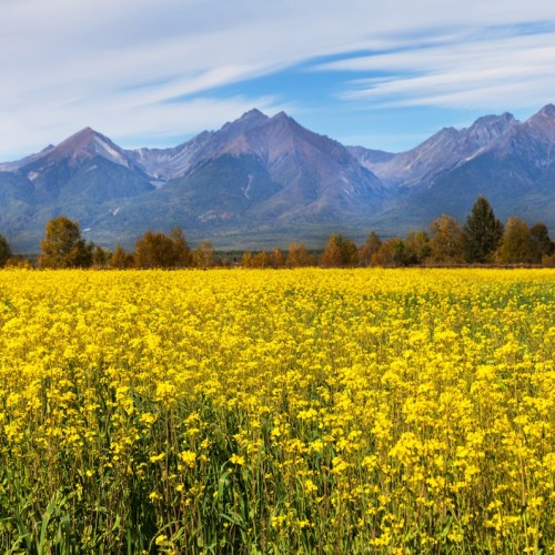 Тункинская долина, Аршан и южный берег Байкал: экспресс-путешествие в мини-группе