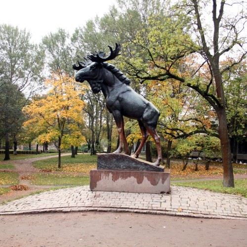 В гости к старушке Европе: Выборг и «Монрепо»