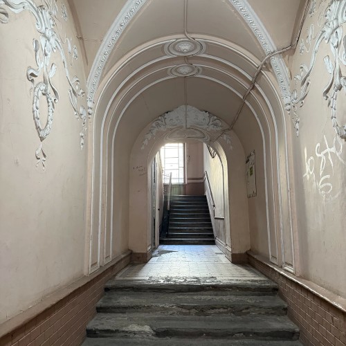 По Васильевскому с островитянином!