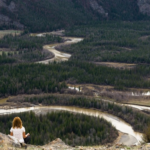 Майские на Алтае в сезон цветения маральника с ежедневными прогулками (всё включено)