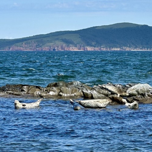 Морское путешествие по островам Японского моря