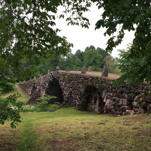 По тропам Торжокского района: пеший поход с рюкзаками
