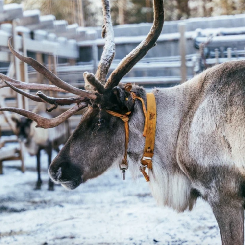 На Кольский за впечатлениями: морская прогулка, айс-флоатинг в Белом море и удивительная Териберка