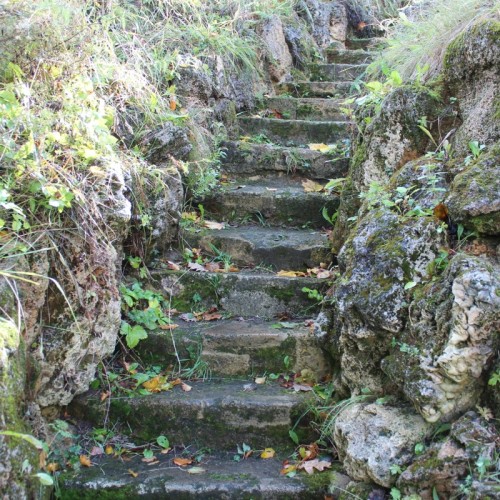 Экскурсия по прекрасной Стрельне