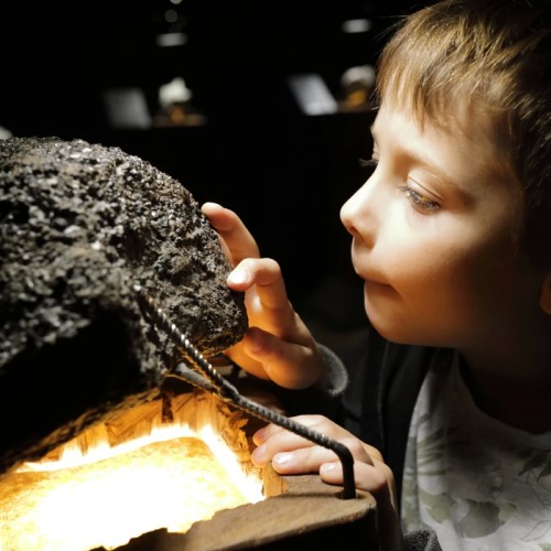 Экспресс-тур из Петербурга в Карелию с дегустациями и кулинарными мастер-классами