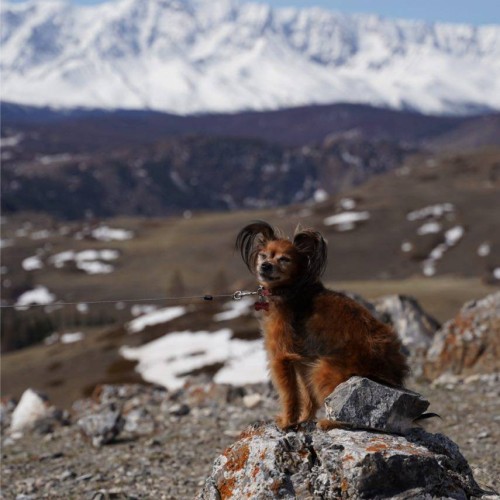 Дорогами Алтая: прогулки по горам и тропам и отдых у озёр и водопадов